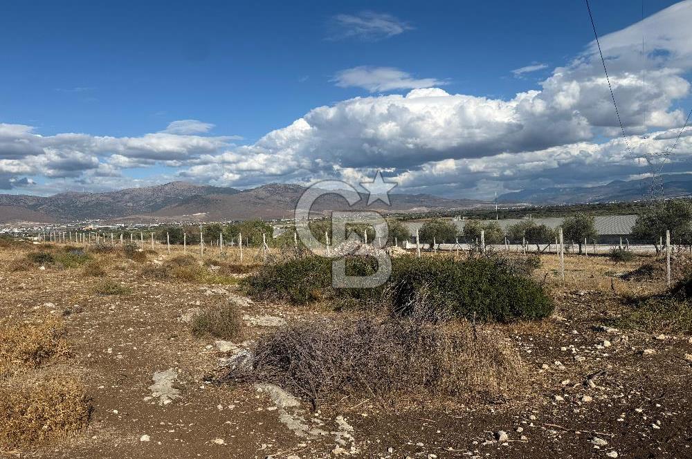 Menemen Türkelli Paşalar Mevkiinde Satılık 2.000 m² Tarla
