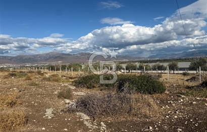 Menemen Türkelli Paşalar Mevkiinde Satılık 2.000 m² Tarla