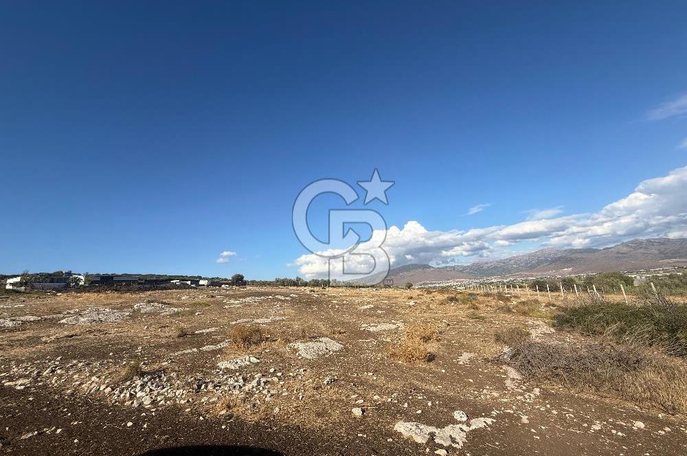 Menemen Türkelli Paşalar Mevkiinde Satılık 2.000 m² Tarla