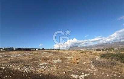 Menemen Türkelli Paşalar Mevkiinde Satılık 2.000 m² Tarla