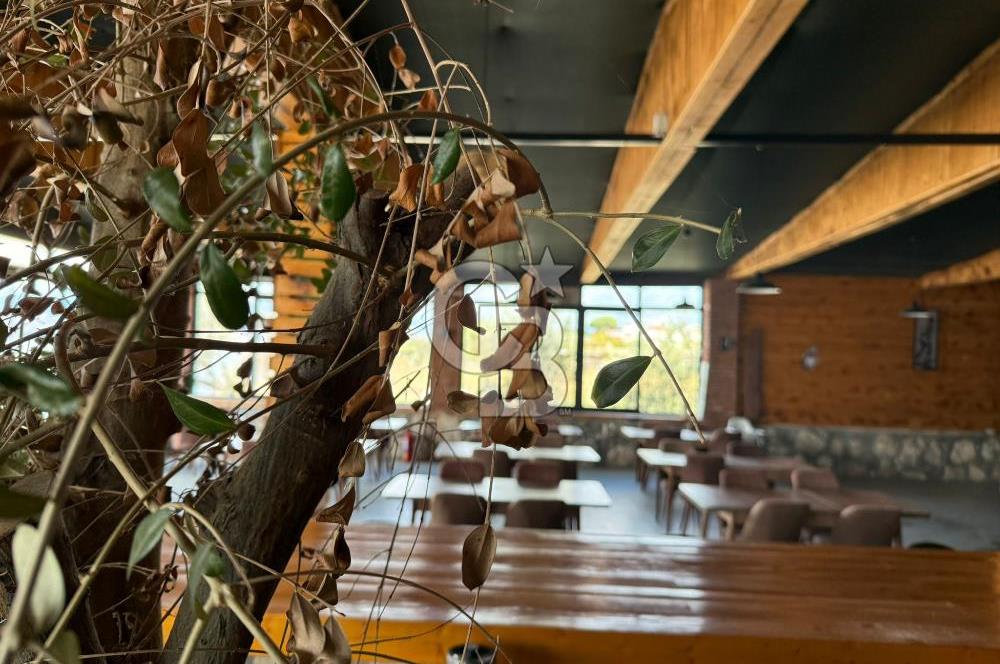 Urla Özbek Devren Kiralık Denize Sıfır Restaurant