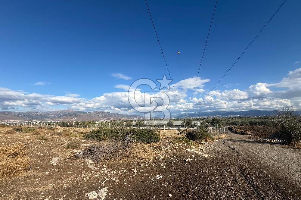 Menemen Türkelli Paşalar Mevkiinde Satılık 2.000 m² Tarla