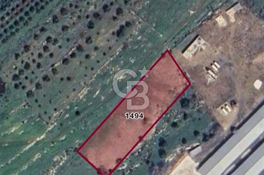 Menemen Türkelli Paşalar Mevkiinde Satılık 2.000 m² Tarla