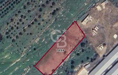 Menemen Türkelli Paşalar Mevkiinde Satılık 2.000 m² Tarla