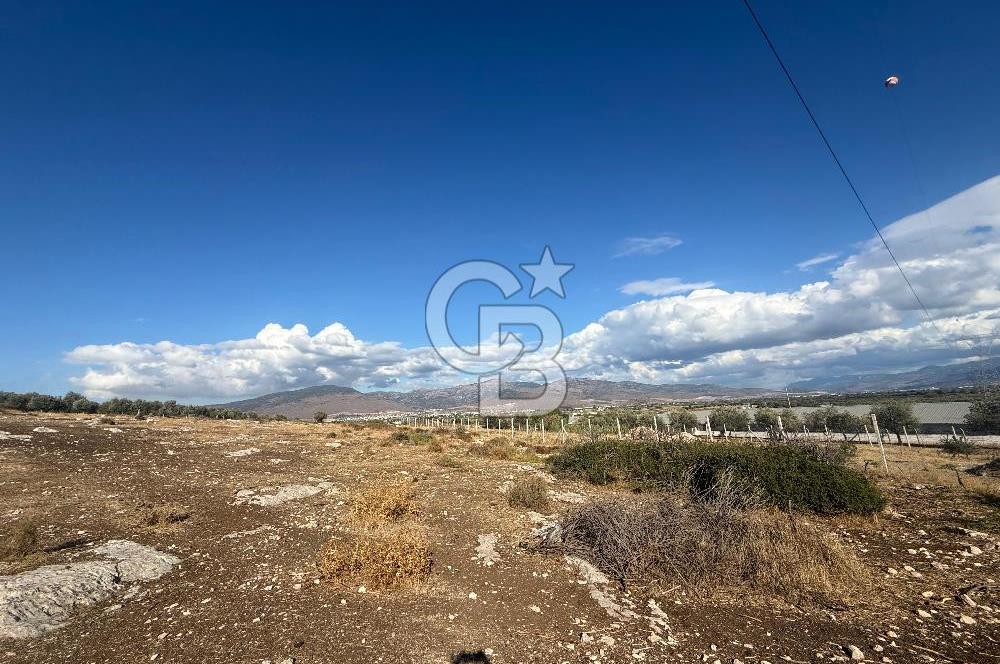 Menemen Türkelli Paşalar Mevkiinde Satılık 2.000 m² Tarla