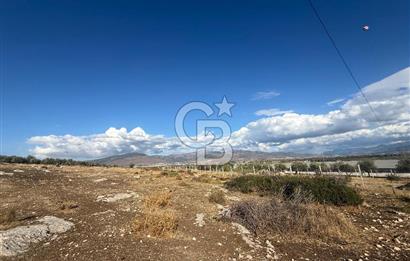 Menemen Türkelli Paşalar Mevkiinde Satılık 2.000 m² Tarla