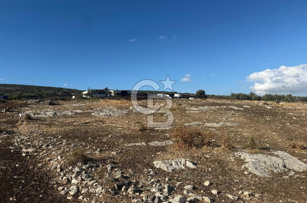 Menemen Türkelli Paşalar Mevkiinde Satılık 2.000 m² Tarla