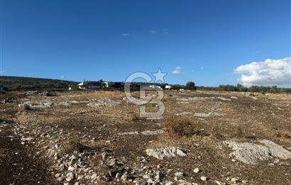 Menemen Türkelli Paşalar Mevkiinde Satılık 2.000 m² Tarla