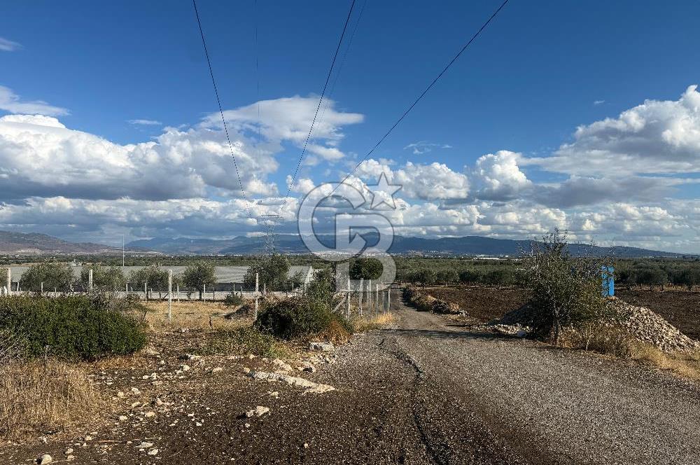 Menemen Türkelli Paşalar Mevkiinde Satılık 2.000 m² Tarla