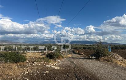 Menemen Türkelli Paşalar Mevkiinde Satılık 2.000 m² Tarla