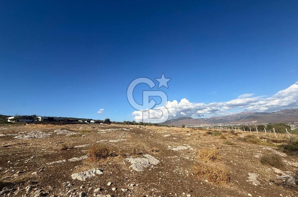 Menemen Türkelli Paşalar Mevkiinde Satılık 2.000 m² Tarla