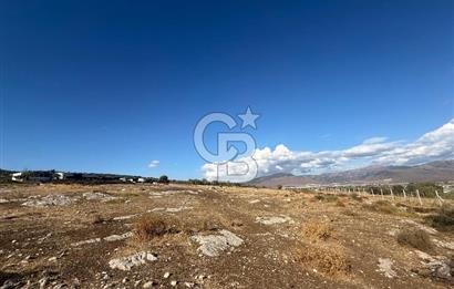 Menemen Türkelli Paşalar Mevkiinde Satılık 2.000 m² Tarla