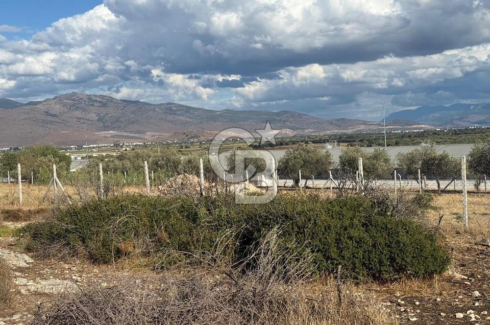Menemen Türkelli Paşalar Mevkiinde Satılık 2.000 m² Tarla
