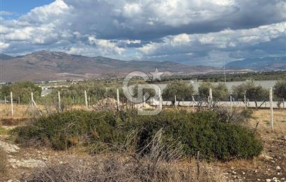 Menemen Türkelli Paşalar Mevkiinde Satılık 2.000 m² Tarla