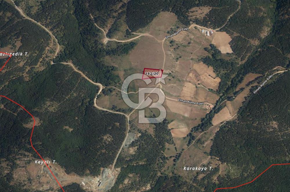 KASTAMONU-KONUKÇA KÖYÜNDE 5.815 m² YATIRIMLIK TARLA KAÇIRMAYIN!
