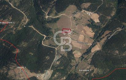 KASTAMONU-KONUKÇA KÖYÜNDE 5.815 m² YATIRIMLIK TARLA KAÇIRMAYIN!