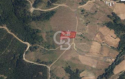 KASTAMONU-KONUKÇA KÖYÜNDE 5.815 m² YATIRIMLIK TARLA KAÇIRMAYIN!