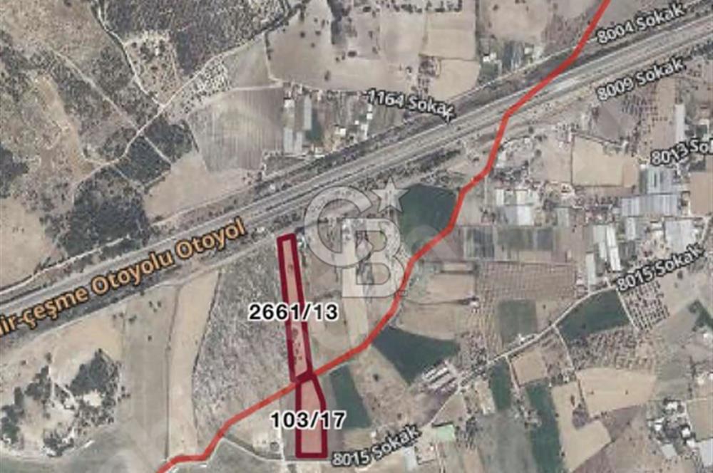 Urla Kuşçular'da İmar Sınırında 8634 m2 Fırsat Arazi