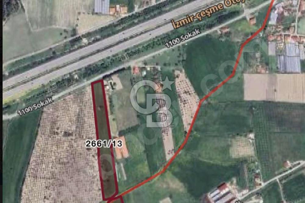 Urla Kuşçular'da Yola Cepheli Kaçırılmayacak Fırsat Arazi