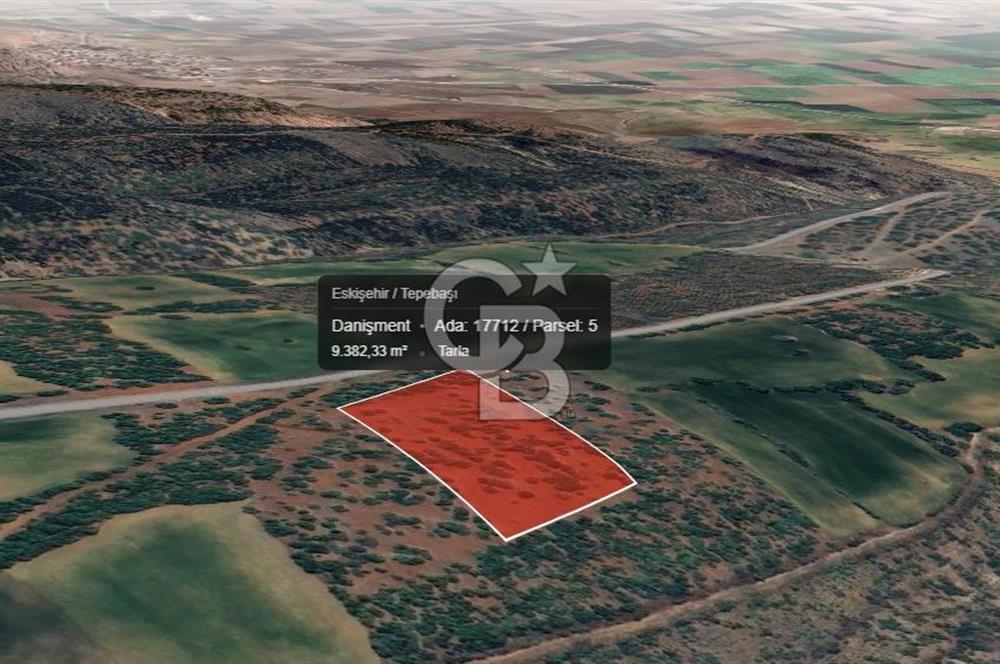 Eskişehir Tepebaşı Danişment te Satılık Tarla