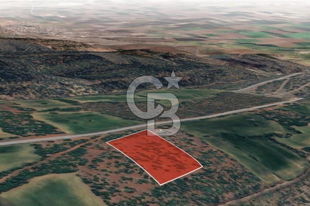 Eskişehir Tepebaşı Danişment te Satılık Tarla