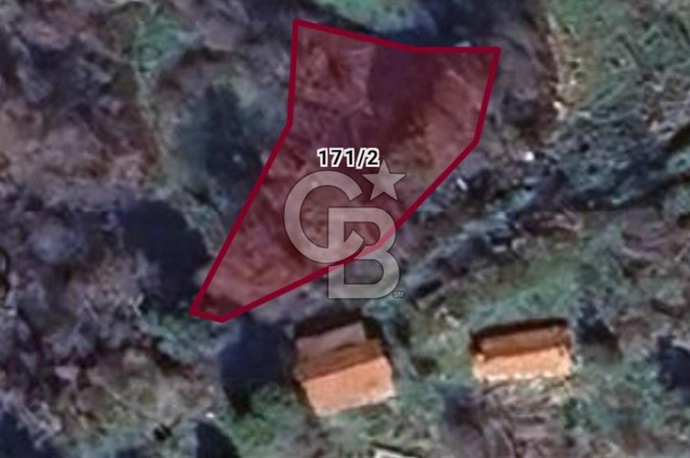 Muğla Ula Gölcük te Satılık Fırsat Bahçe 
