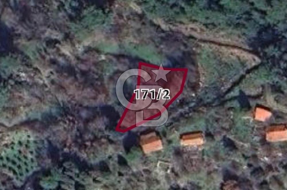 Muğla Ula Gölcük te Satılık Fırsat Bahçe 