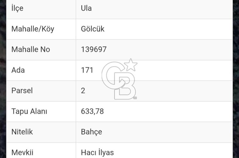 Muğla Ula Gölcük te Satılık Fırsat Bahçe 