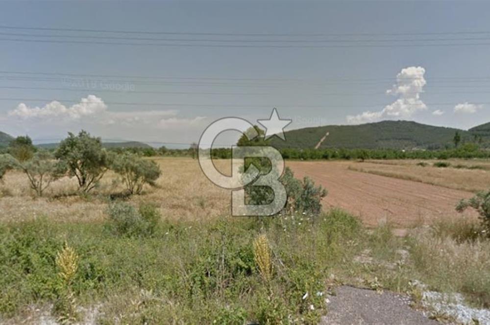 Muğla Ula Gölcük te Satılık Fırsat Bahçe 