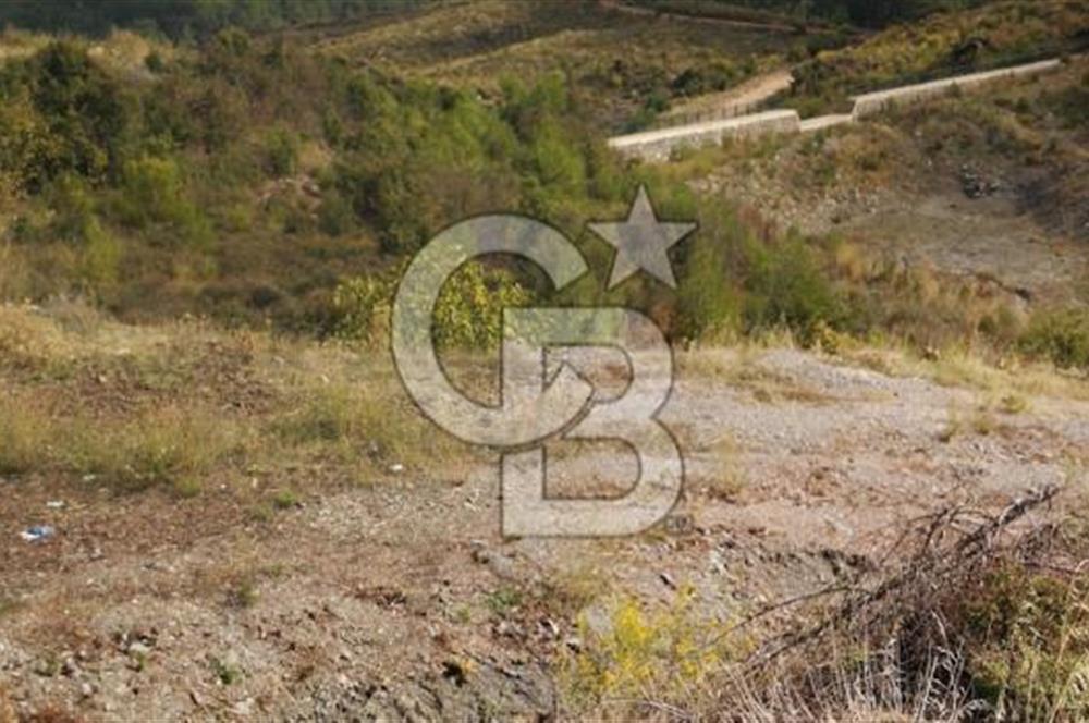 Muğla Ula Gölcük te Satılık Fırsat Bahçe 