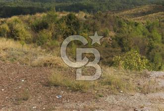 Muğla Ula Gölcük te Satılık Fırsat Bahçe 