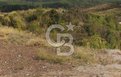 Muğla Ula Gölcük te Satılık Fırsat Bahçe 