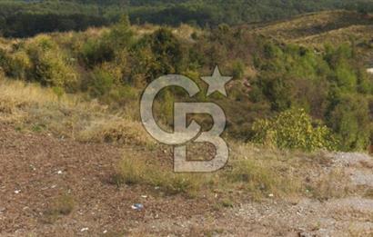 Muğla Ula Gölcük te Satılık Fırsat Bahçe 