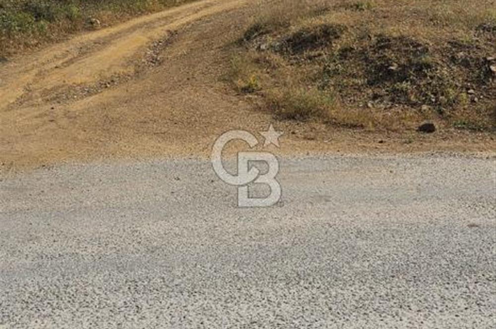 İzmir Tirede Satılık Meyve Bahçesi