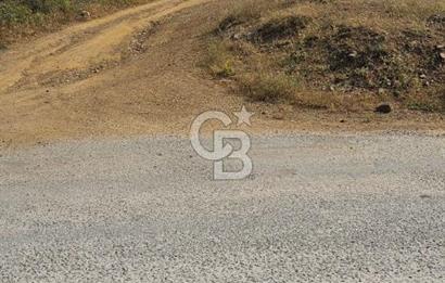 İzmir Tirede Satılık Meyve Bahçesi
