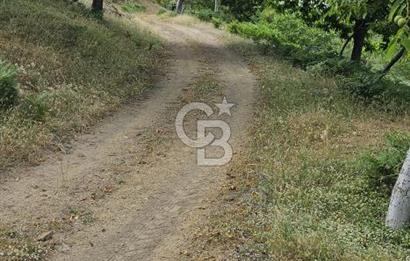 İzmir Tirede Satılık Meyve Bahçesi