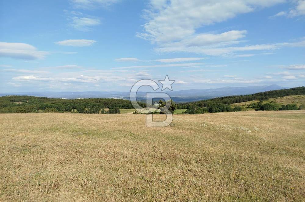 KASTAMONU-KONUKÇA KÖYÜNDE 5.815 m² YATIRIMLIK TARLA KAÇIRMAYIN!