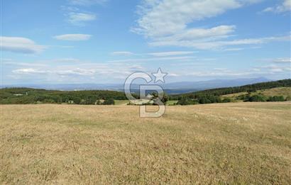 KASTAMONU-KONUKÇA KÖYÜNDE 5.815 m² YATIRIMLIK TARLA KAÇIRMAYIN!