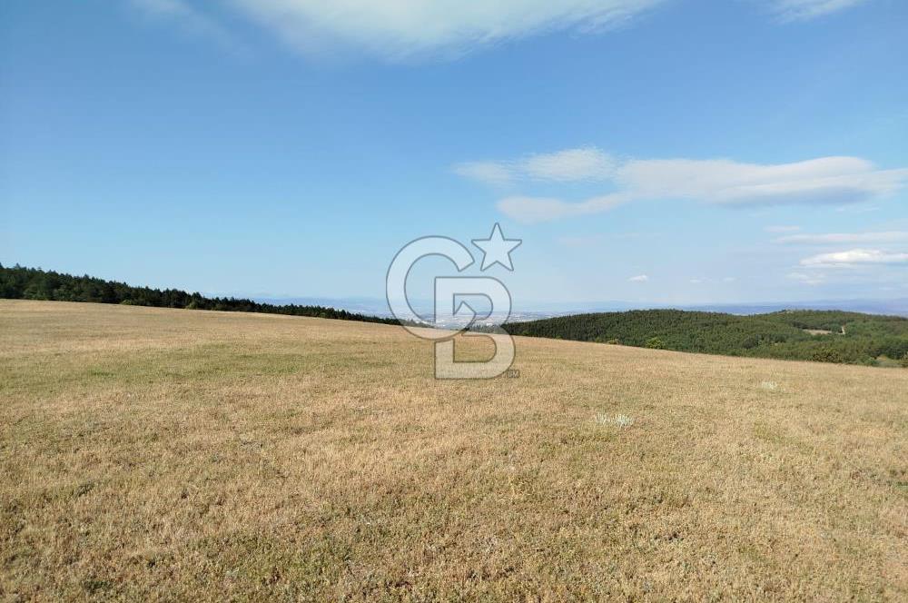 KASTAMONU-KONUKÇA KÖYÜNDE 5.815 m² YATIRIMLIK TARLA KAÇIRMAYIN!