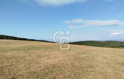 KASTAMONU-KONUKÇA KÖYÜNDE 5.815 m² YATIRIMLIK TARLA KAÇIRMAYIN!
