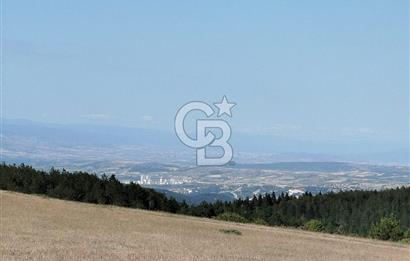 KASTAMONU-KONUKÇA KÖYÜNDE 5.815 m² YATIRIMLIK TARLA KAÇIRMAYIN!