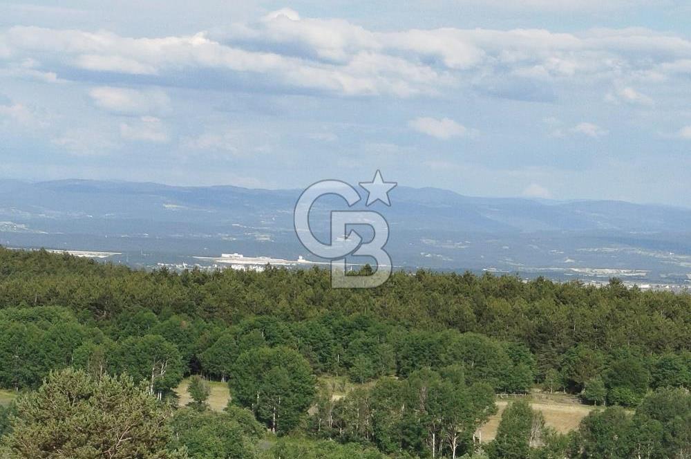 KASTAMONU-KONUKÇA KÖYÜNDE 5.815 m² YATIRIMLIK TARLA KAÇIRMAYIN!