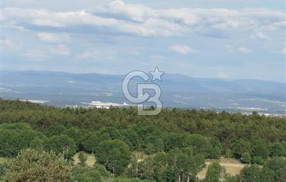 KASTAMONU-KONUKÇA KÖYÜNDE 5.815 m² YATIRIMLIK TARLA KAÇIRMAYIN!