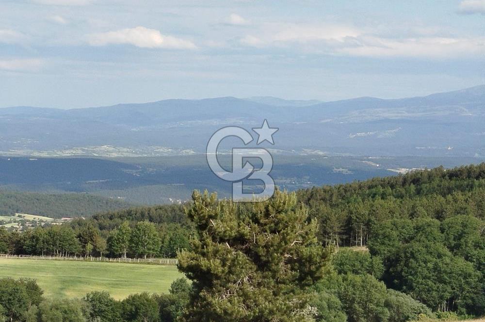 KASTAMONU-KONUKÇA KÖYÜNDE 5.815 m² YATIRIMLIK TARLA KAÇIRMAYIN!