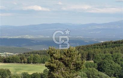 KASTAMONU-KONUKÇA KÖYÜNDE 5.815 m² YATIRIMLIK TARLA KAÇIRMAYIN!