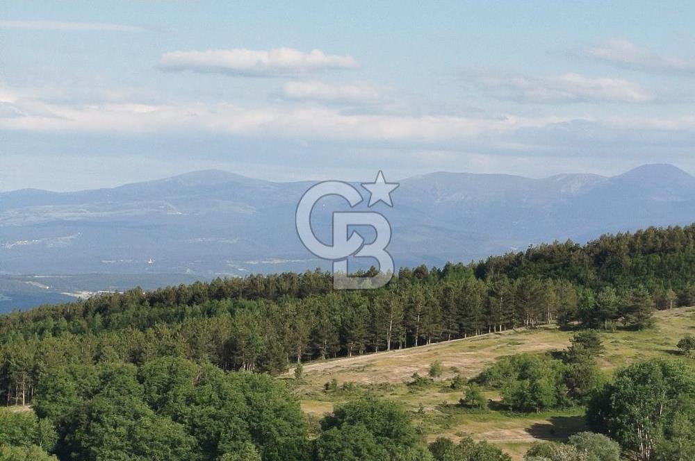 KASTAMONU-KONUKÇA KÖYÜNDE 5.815 m² YATIRIMLIK TARLA KAÇIRMAYIN!