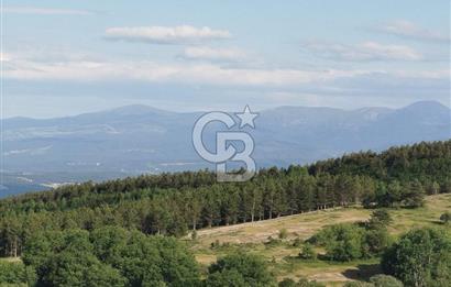 KASTAMONU-KONUKÇA KÖYÜNDE 5.815 m² YATIRIMLIK TARLA KAÇIRMAYIN!