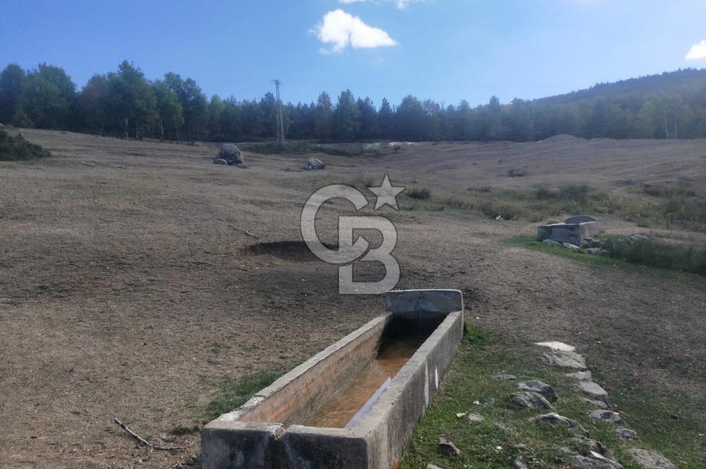 KASTAMONU-KONUKÇA KÖYÜNDE 5.815 m² YATIRIMLIK TARLA KAÇIRMAYIN!