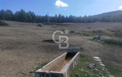 KASTAMONU-KONUKÇA KÖYÜNDE 5.815 m² YATIRIMLIK TARLA KAÇIRMAYIN!