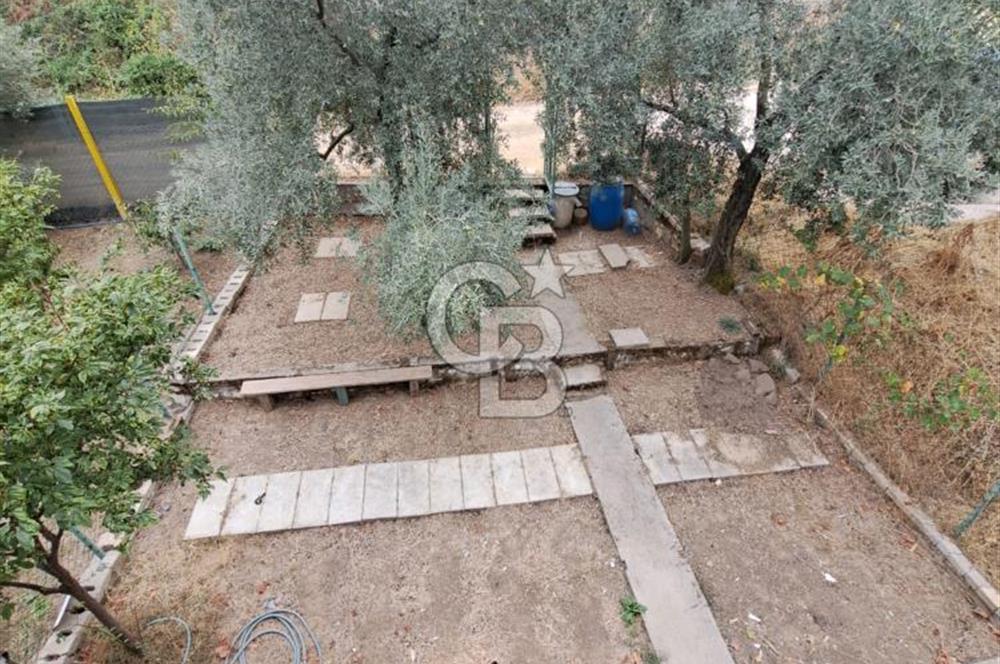 Bursa İli Orhangazi İlçesi Akharem Mevkiinde  SATILIK Hobi Bahçesi Olarak Dizayn edilen Arsamız